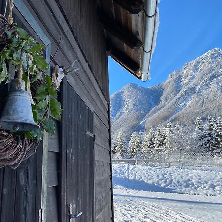Chalet Am Weissenbach Hinterstoder Kültér fotó