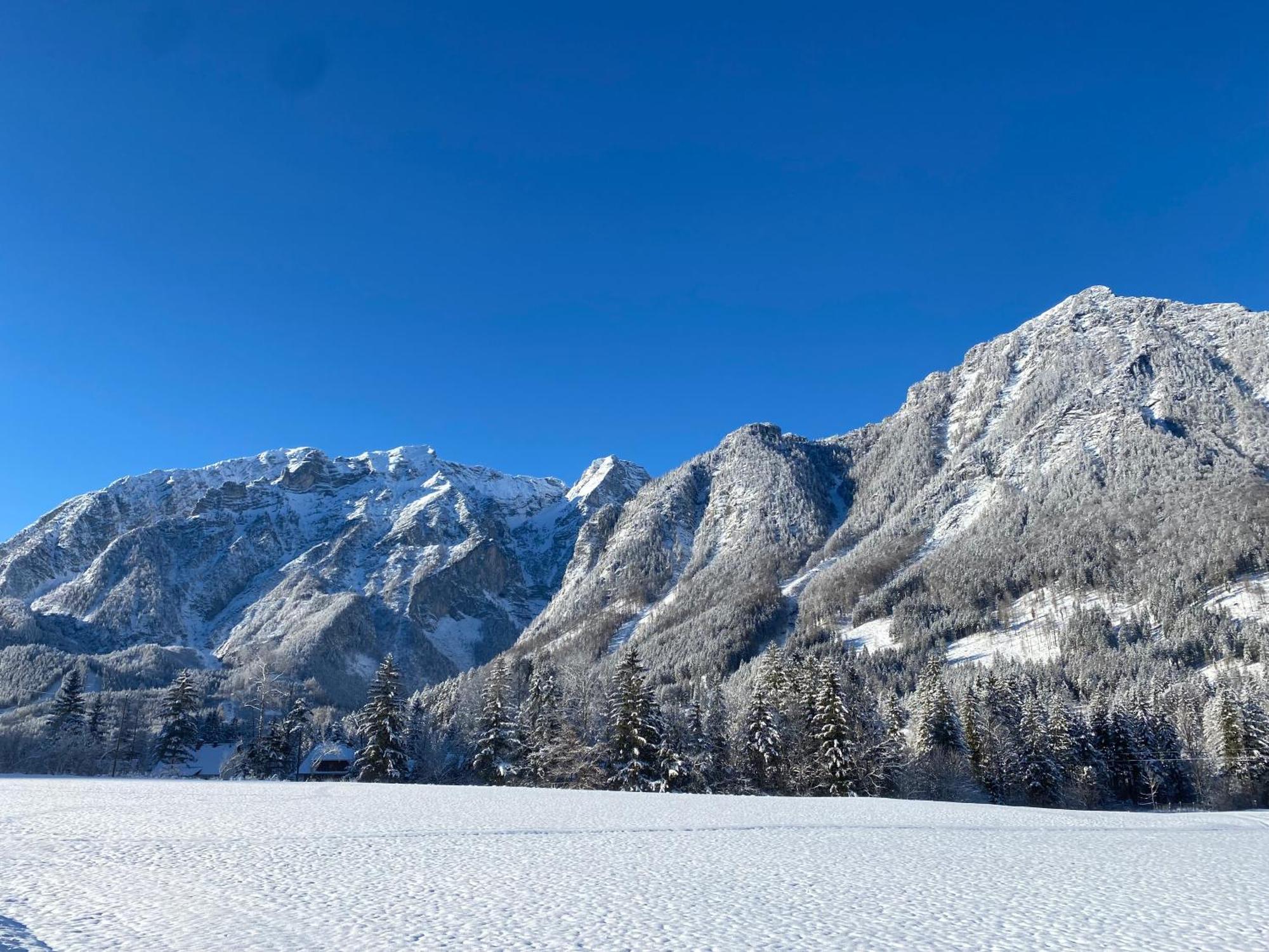 Chalet Am Weissenbach Hinterstoder Kültér fotó